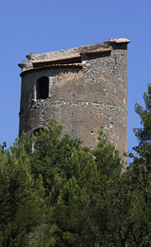 Le plus grand pigeonnier d'Europe à Brue-Auriac